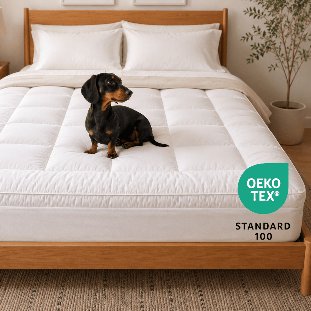 A white quilted mattress topper on a wooden bed frame, with a black and tan dachshund sitting on top. The image includes an OEKO-TEX Standard 100 certification badge in the lower right corner.